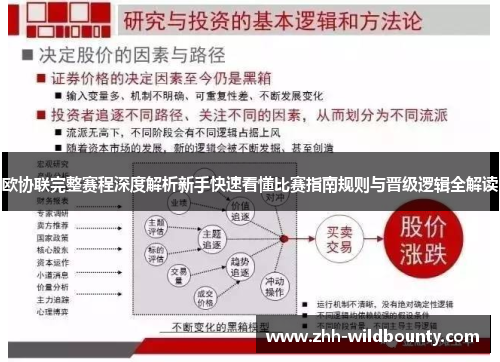 欧协联完整赛程深度解析新手快速看懂比赛指南规则与晋级逻辑全解读