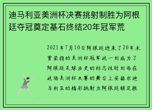 迪马利亚美洲杯决赛挑射制胜为阿根廷夺冠奠定基石终结20年冠军荒