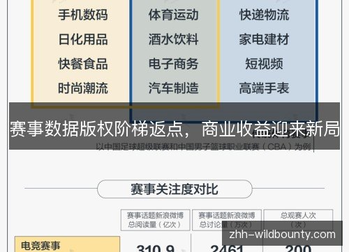 赛事数据版权阶梯返点，商业收益迎来新局